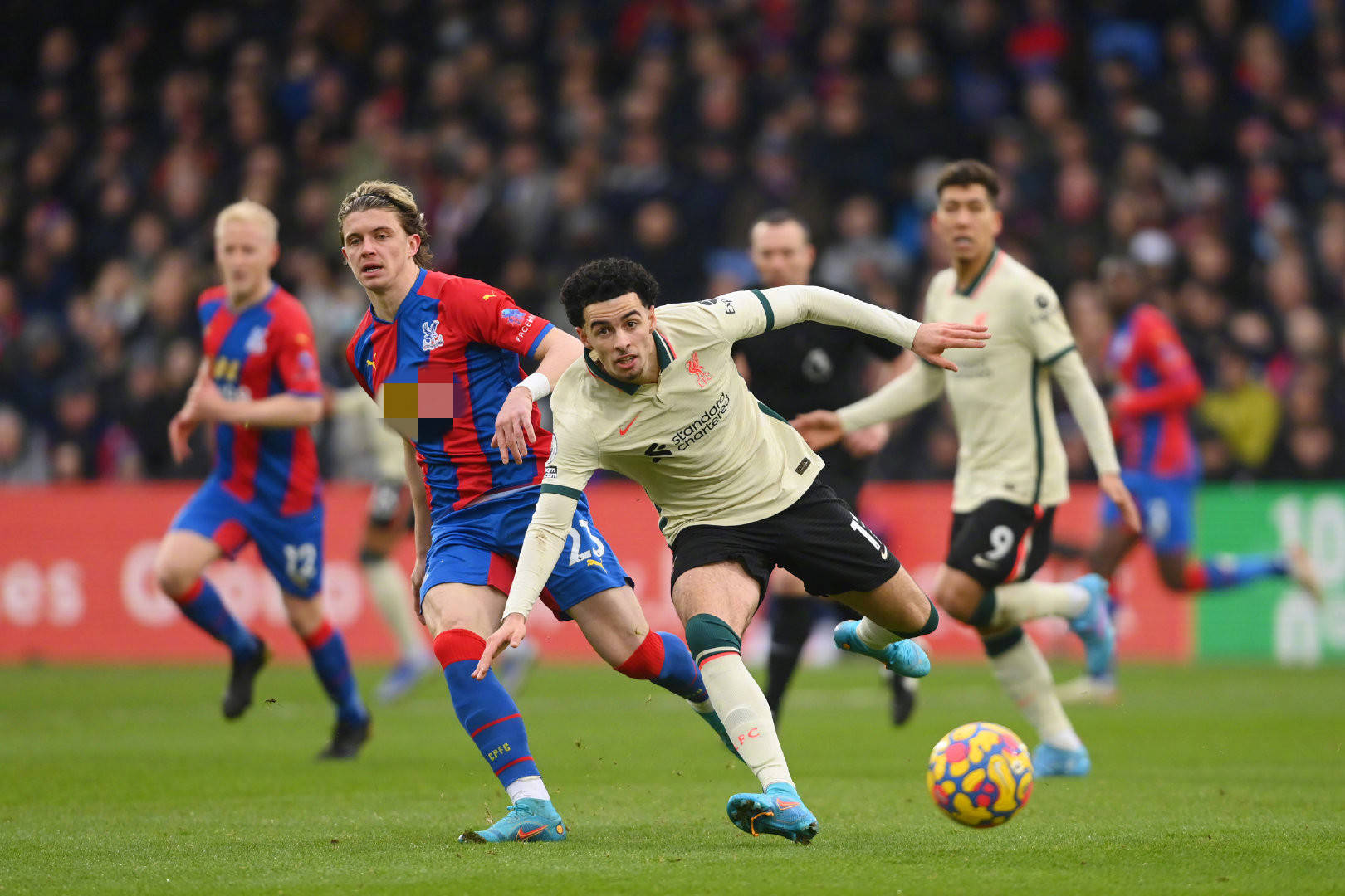 解皮诺的能 解皮诺的能